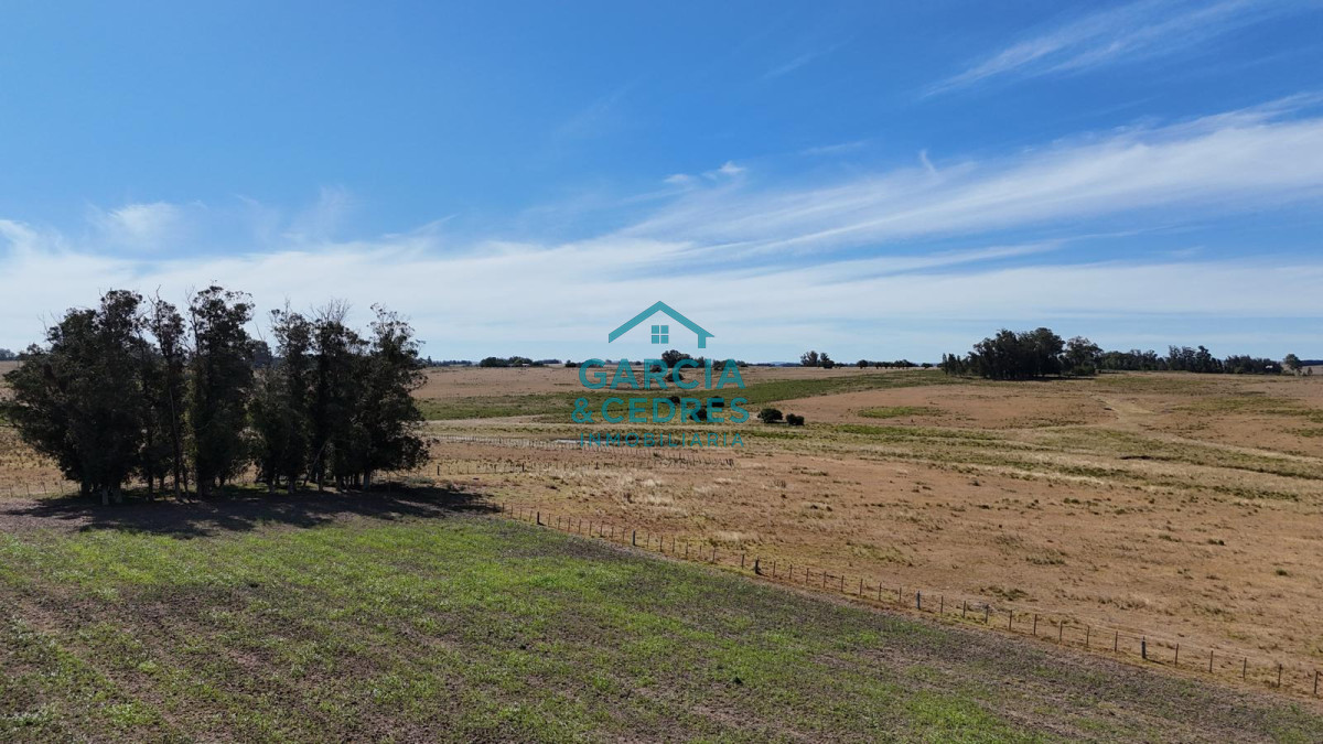 Chacra ID.144 - OPORTUNIDAD VENTA DE CHACRA 21 HAS ZONA DE LAGUNA JOSE IGNACIO