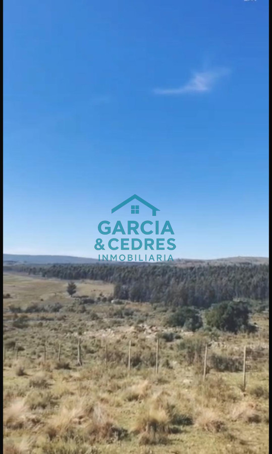 Chacra ID.56 - Oportunidad !!!!!! a solo U$S 90.000 .Vendo Chacra de 12 Has y 8000 mt en Minas . Cno Al Barrancon 