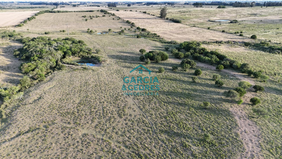 Chacra ID.146 - OPORTUNIDAD VENTA DE CHACRA 18 HAS 795 M2 ZONA ZANJA DE CHAVEZ