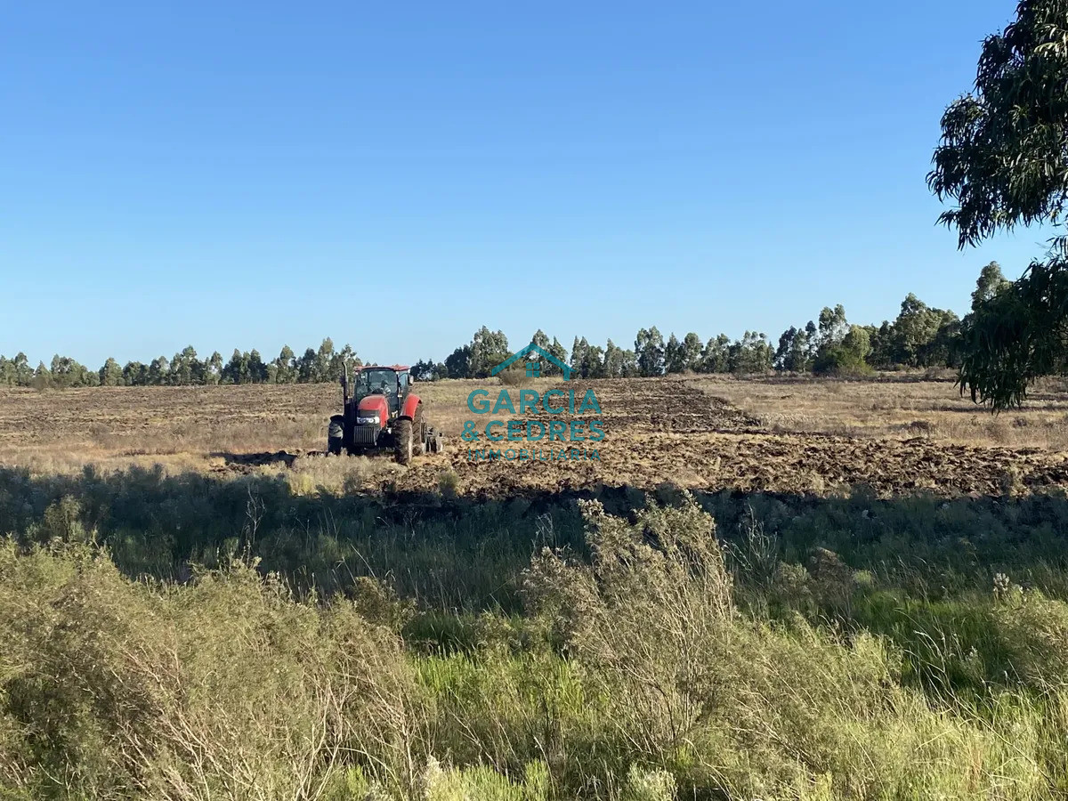 Chacra ID.562 -  Chacra 7 Has, San Jacinto, Canelones.