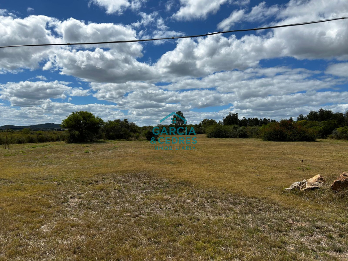 Chacra ID.260 - OPORTUNIDAD CHACRA DE 2.5 HAS SOBRE RUTA 9 IDEAL PARA POLO LOGISTICO 