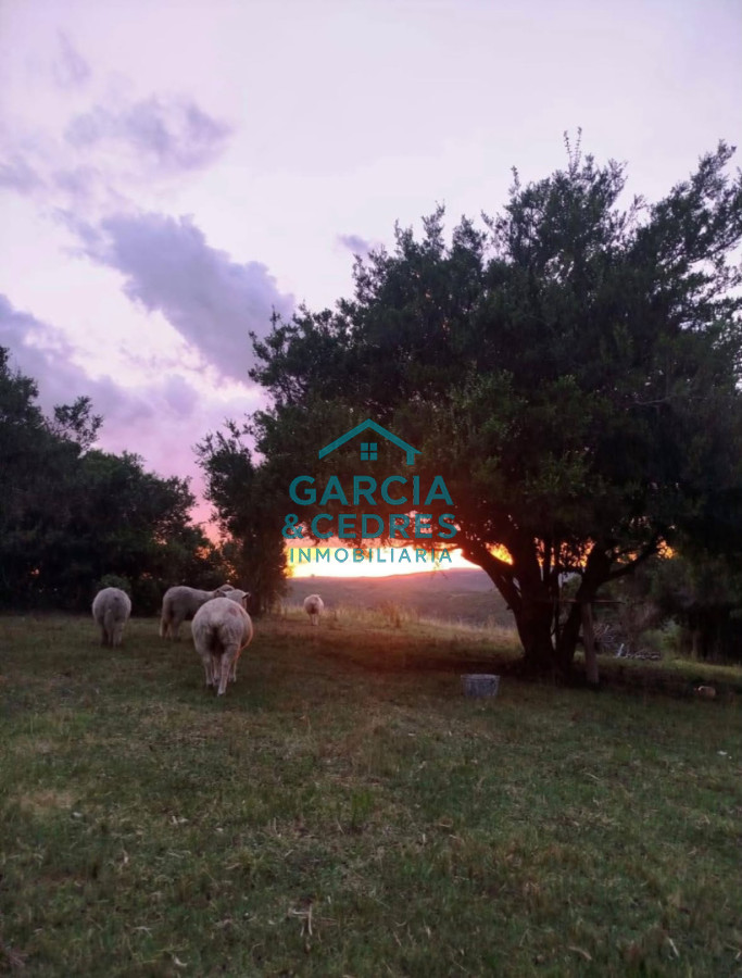 Chacra ID.696 - SE VENDE CASA EN ZONA PASO DE LAS CANTERAS GARZON