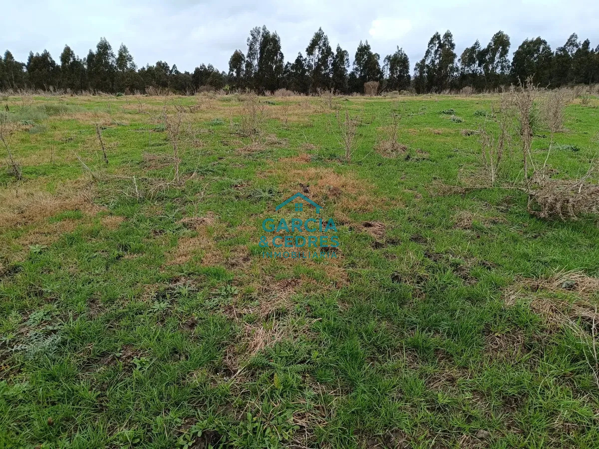 Chacra ID.562 -  Chacra 7 Has, San Jacinto, Canelones.