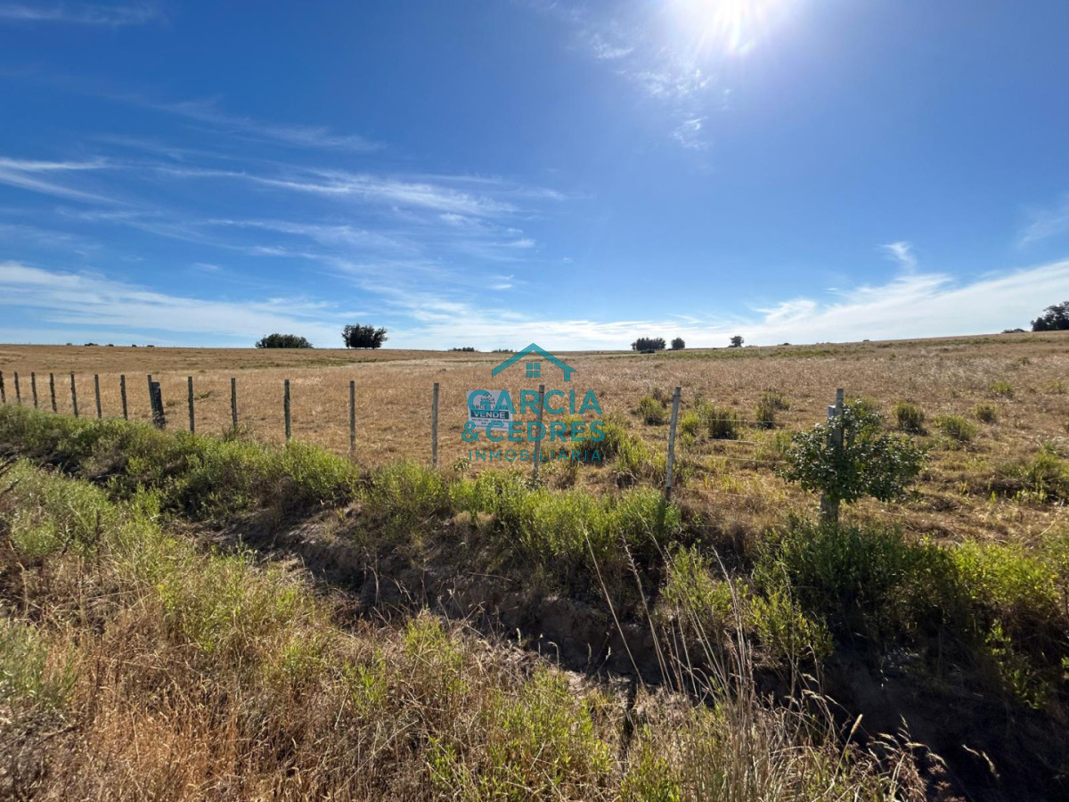 Chacra ID.144 - OPORTUNIDAD VENTA DE CHACRA 21 HAS ZONA DE LAGUNA JOSE IGNACIO