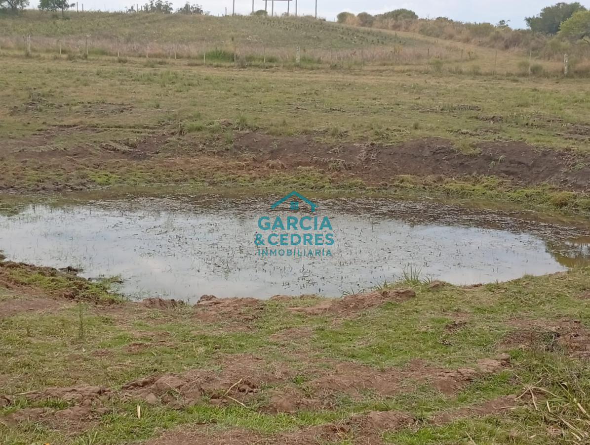 Chacra ID.515 - Chacra de 3has en venta, Corte de la Leña