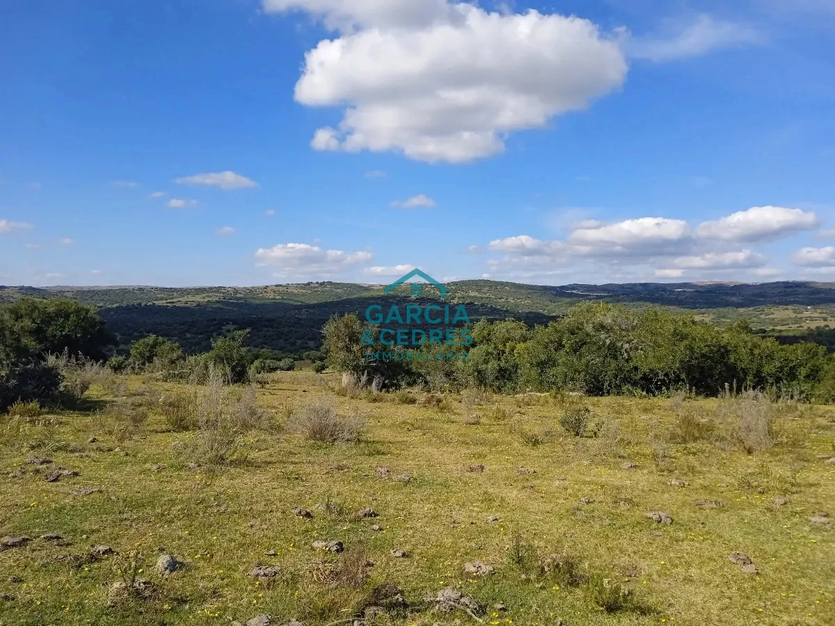 Chacra ID.478 -  Venta de Chacra Con Arroyo, Monte Nativo, Pastoreo, Vistas 360 En Altura, Sierras De Aigua