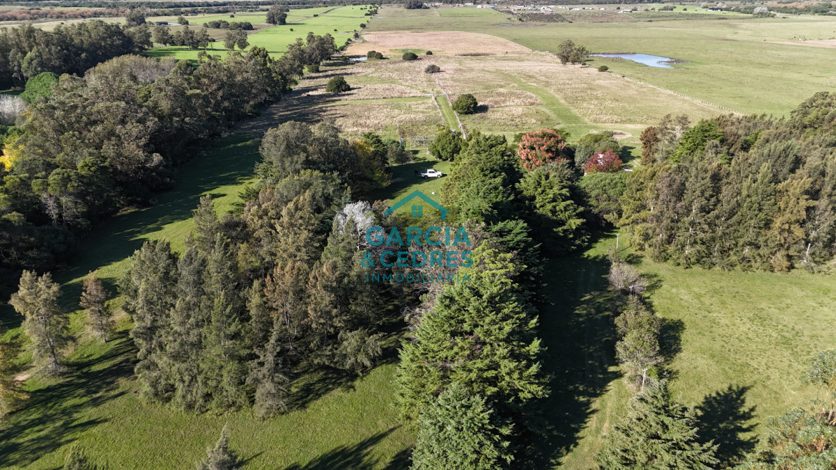 Chacra ID.442 - Chacra de 10has con casa principal, Ruta 39 a 22km de Punta del Este.