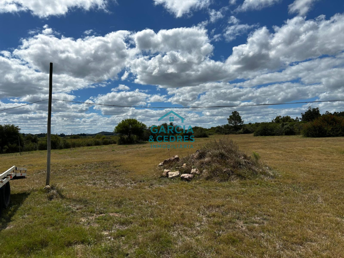 Chacra ID.260 - OPORTUNIDAD CHACRA DE 2.5 HAS SOBRE RUTA 9 IDEAL PARA POLO LOGISTICO 