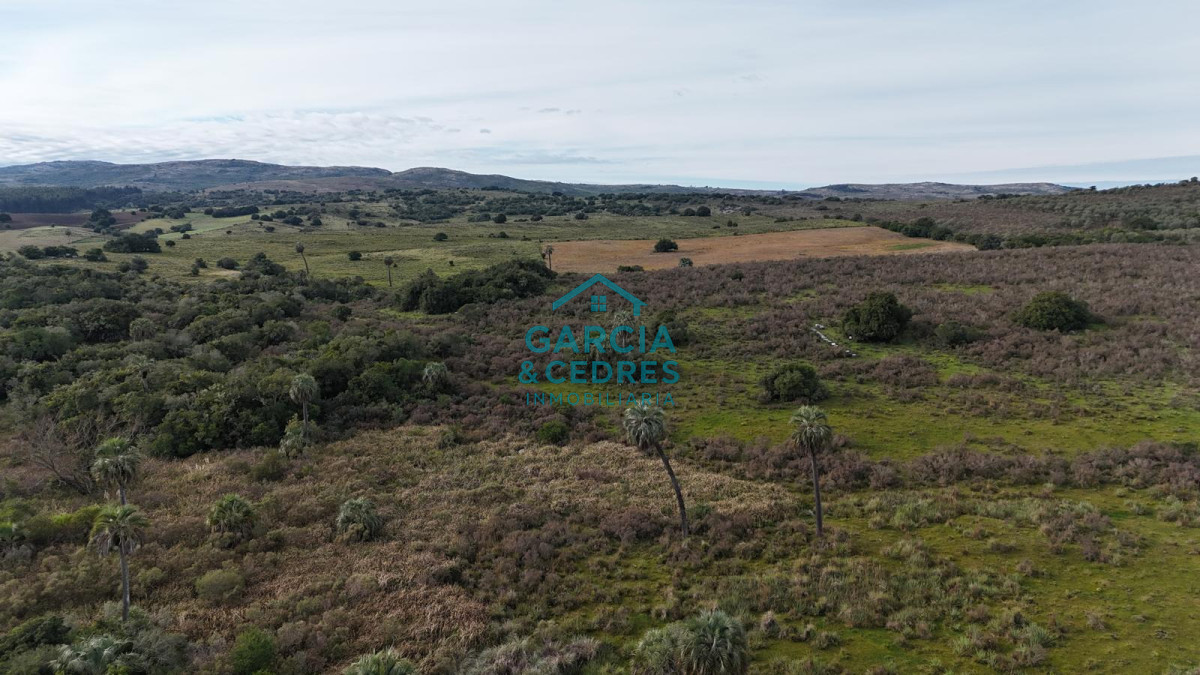 Chacra ID.643 - Chacra En venta de 10 has ruta 39 km 48 en Sierra de las Cañas 