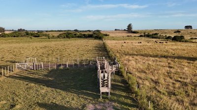 OPORTUNIDAD VENTA DE CHACRA 18 HAS 795 M2 ZONA ZANJA DE CHAVEZ