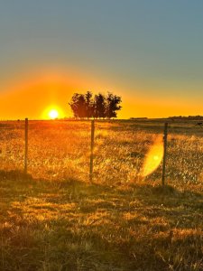 OPORTUNIDAD VENTA DE CHACRA 21 HAS ZONA DE LAGUNA JOSE IGNACIO