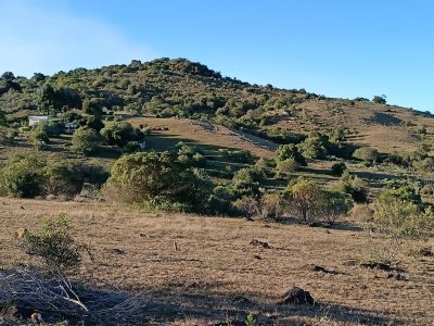 Chacra En Pueblo Eden 