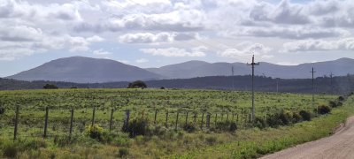 Excelente Oportunidad Venta de Chacras de 5 has en camino a la Nativa desde U$S 74.000 