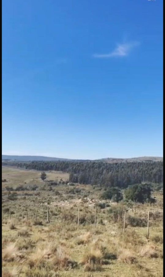 Oportunidad !!!!!! a solo U$S 90.000 .Vendo Chacra de 12 Has y 8000 mt en Minas . Cno Al Barrancon 