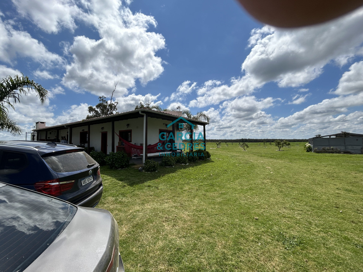 Campo Ref.4 - Chacra de 50 has ganadera en capilla de Cella con Casa  