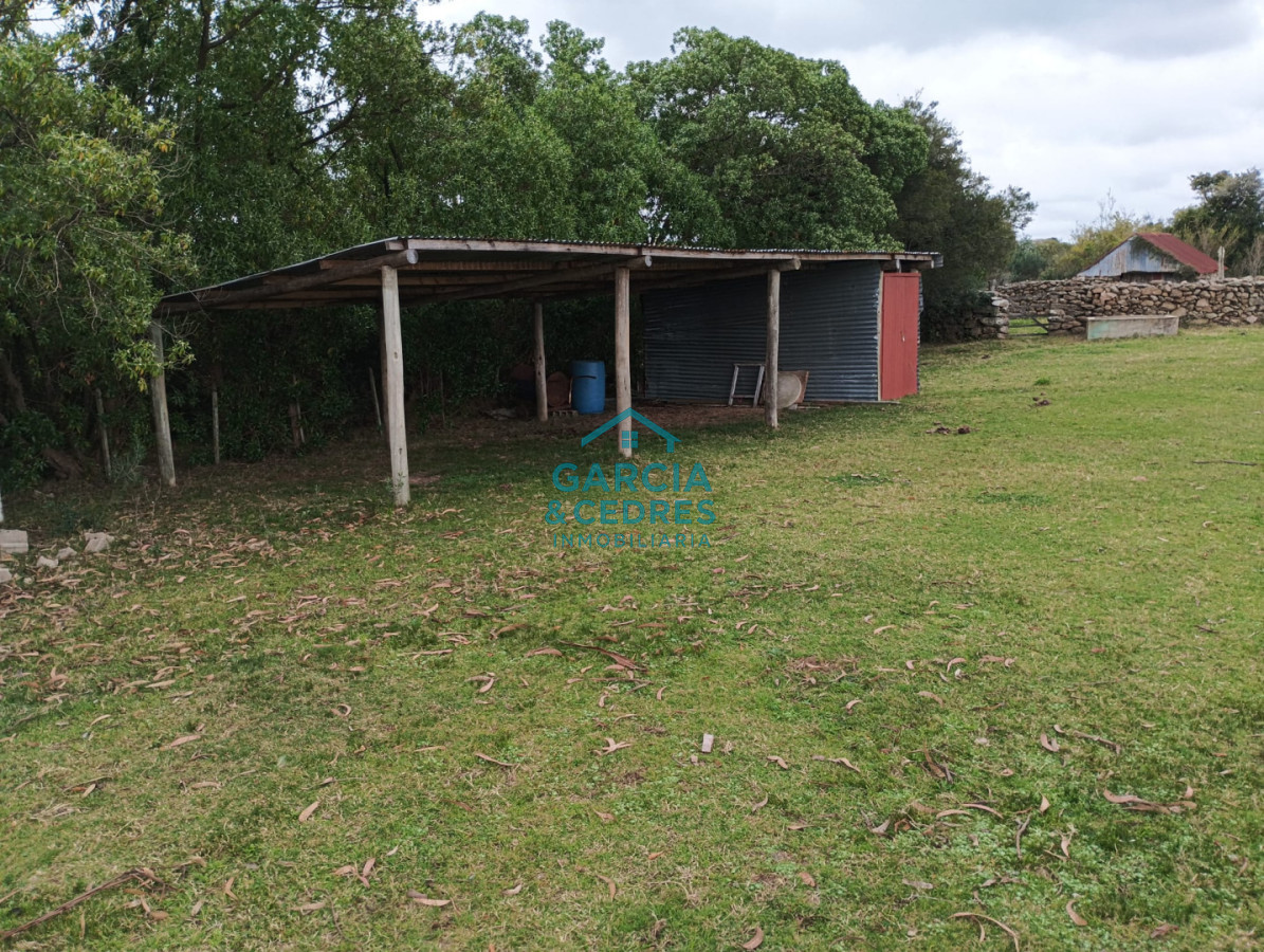 Campo Ref.35 - VENTA DE CAMPO EN RUTA 39 . LA ESTANCIA ESTA A5 KM DE LA RUTA 39 
