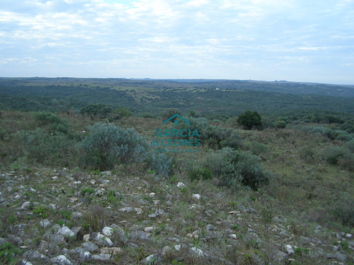 Campo Ref.32 - Vendo o Permuto por propiedad en el Departamento de Maldonado . Campo de 142 has a 15 km de Santa Clara del olimar con 1.2 km de costa Rio olimar