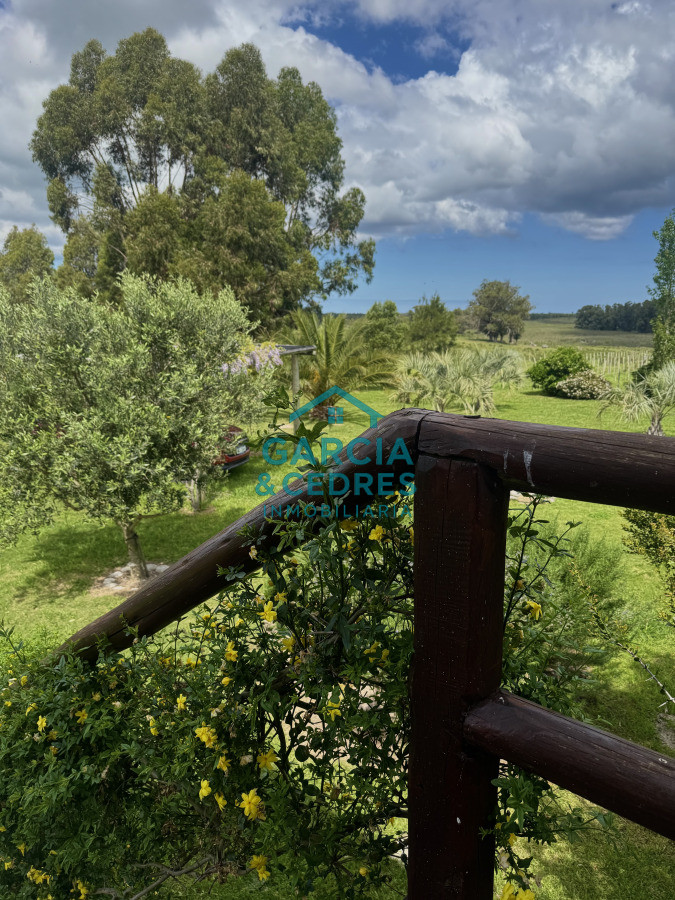 Campo Ref.4 - Chacra de 50 has ganadera en capilla de Cella con Casa  