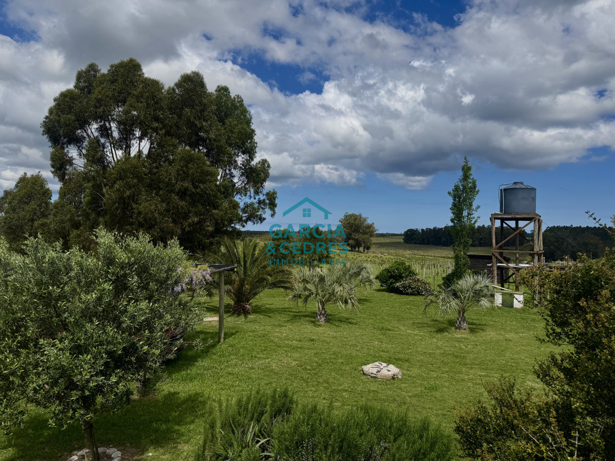 Campo Ref.4 - Chacra de 50 has ganadera en capilla de Cella con Casa  