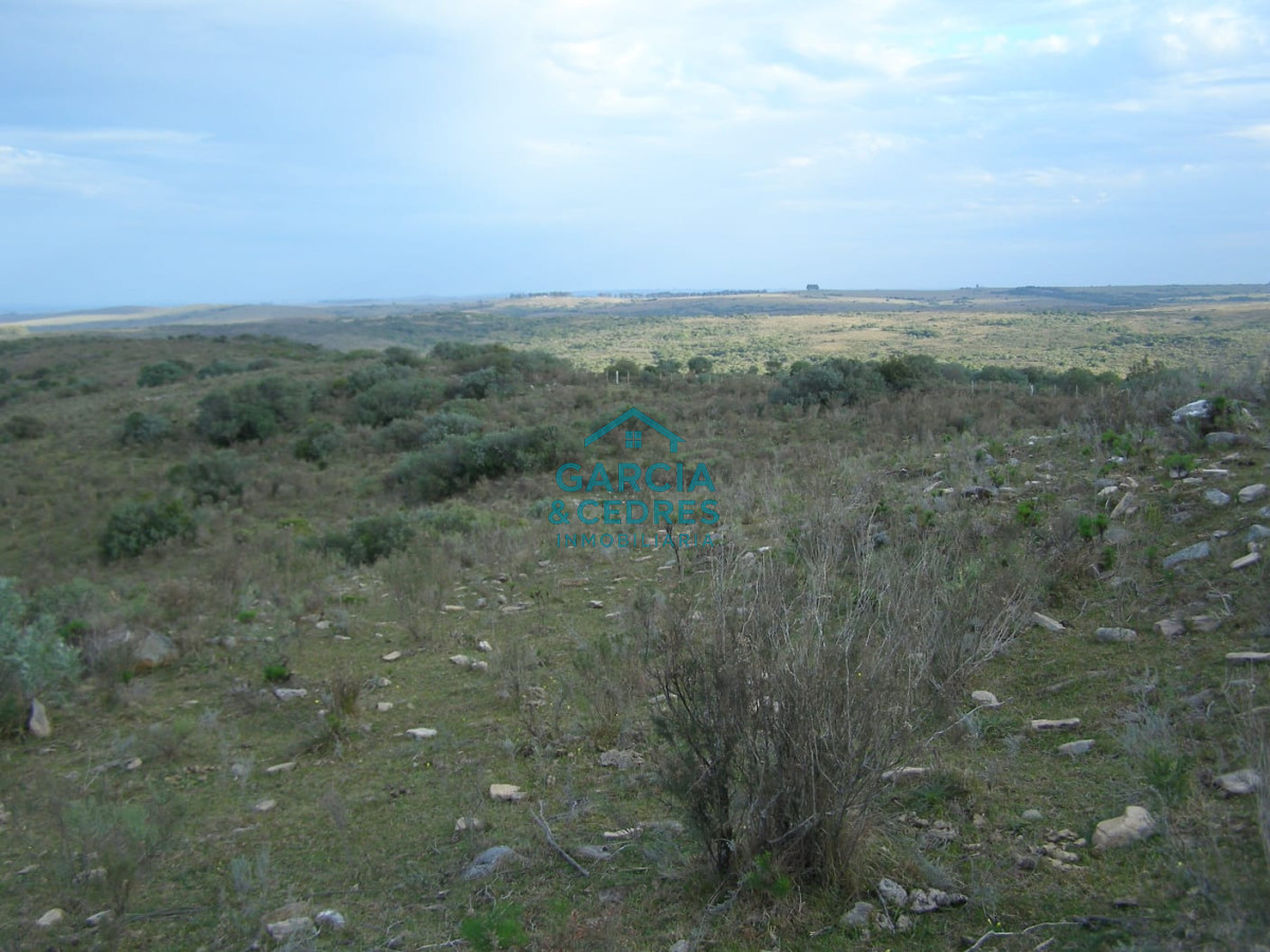 Campo Ref.32 - Vendo o Permuto por propiedad en el Departamento de Maldonado . Campo de 142 has a 15 km de Santa Clara del olimar con 1.2 km de costa Rio olimar