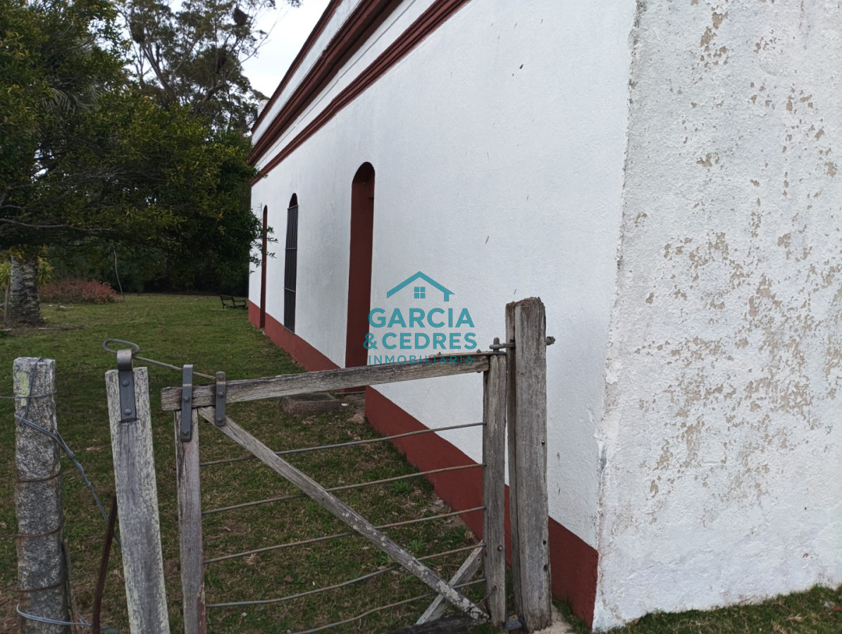 Campo Ref.35 - VENTA DE CAMPO EN RUTA 39 . LA ESTANCIA ESTA A5 KM DE LA RUTA 39 