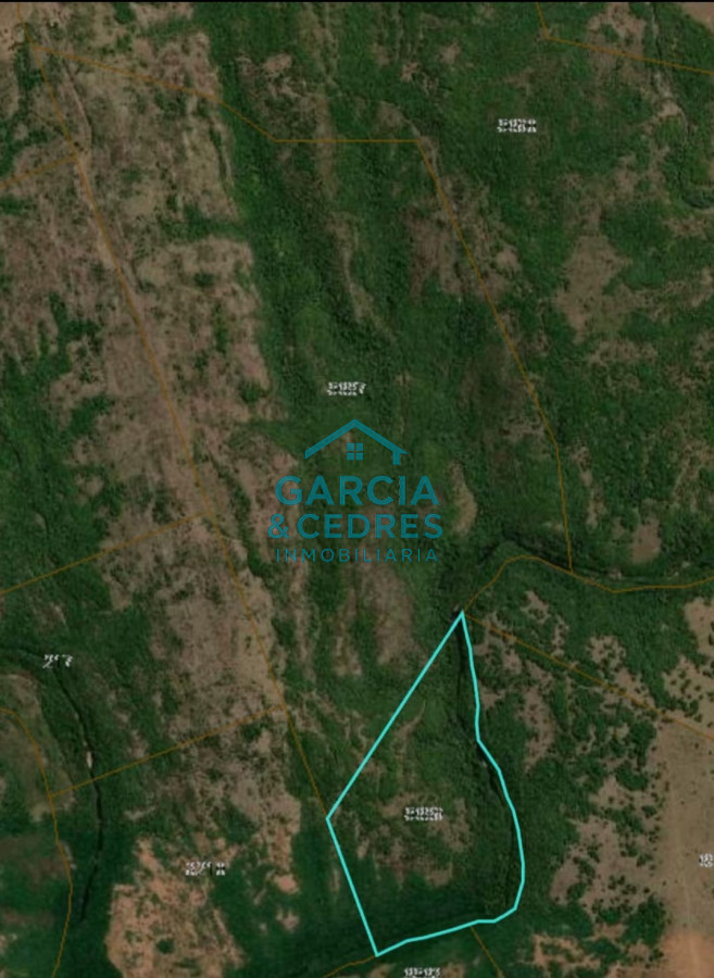 Campo Ref.32 - Vendo o Permuto por propiedad en el Departamento de Maldonado . Campo de 142 has a 15 km de Santa Clara del olimar con 1.2 km de costa Rio olimar