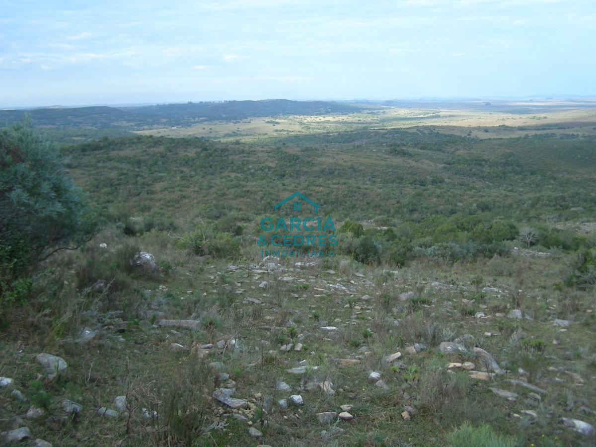 Campo Ref.32 - Vendo o Permuto por propiedad en el Departamento de Maldonado .
