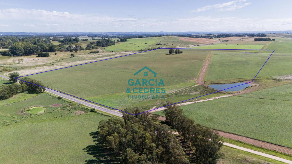 Campo Ref.182 - Campo de 42 Hectáreas con Alto Potencial de Inversión y Fraccionamiento - Ruta 104 & Camino del Medellín