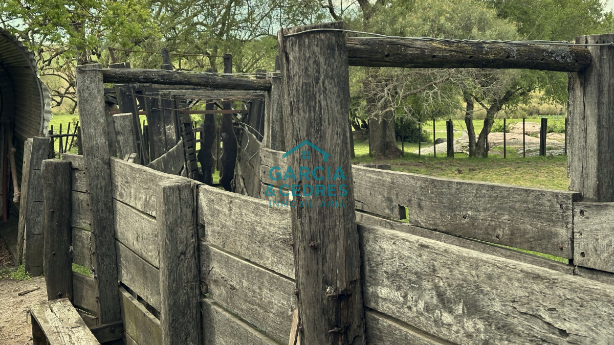 Campo Ref.207 - Estancia de Prestigio en Marmarajá - 104 Hectáreas Productivas