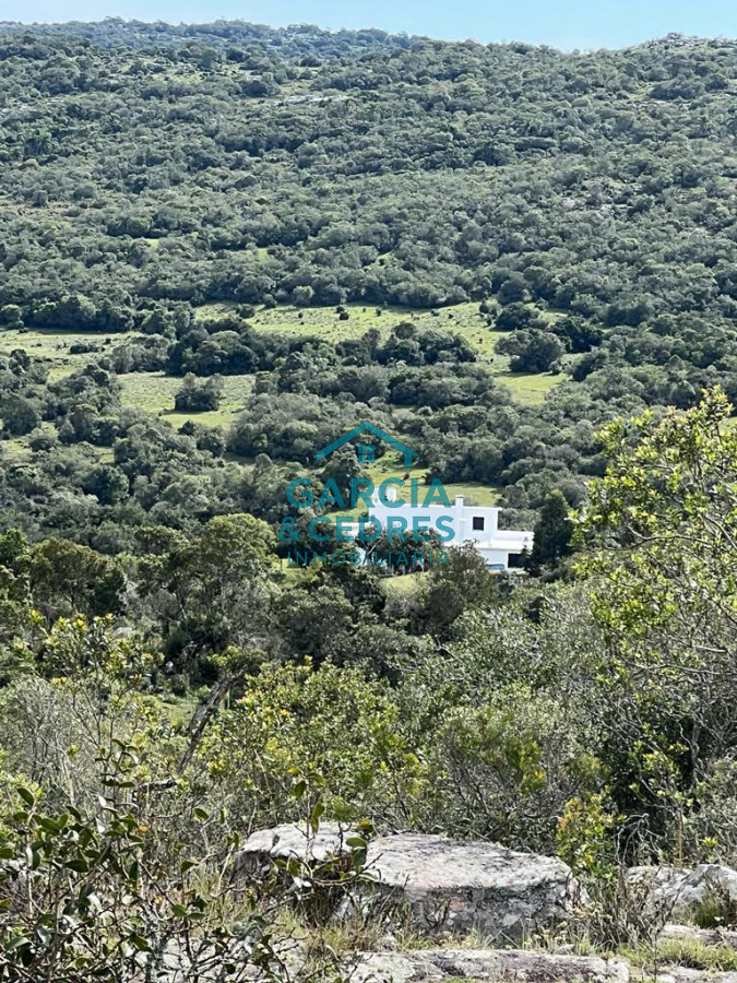 Campo Ref.209 - OPORTUNIDAD !!! ESTANCIA DE 252 HAS EN CAMINO CERRO CATEDRAL MALDONADO. 