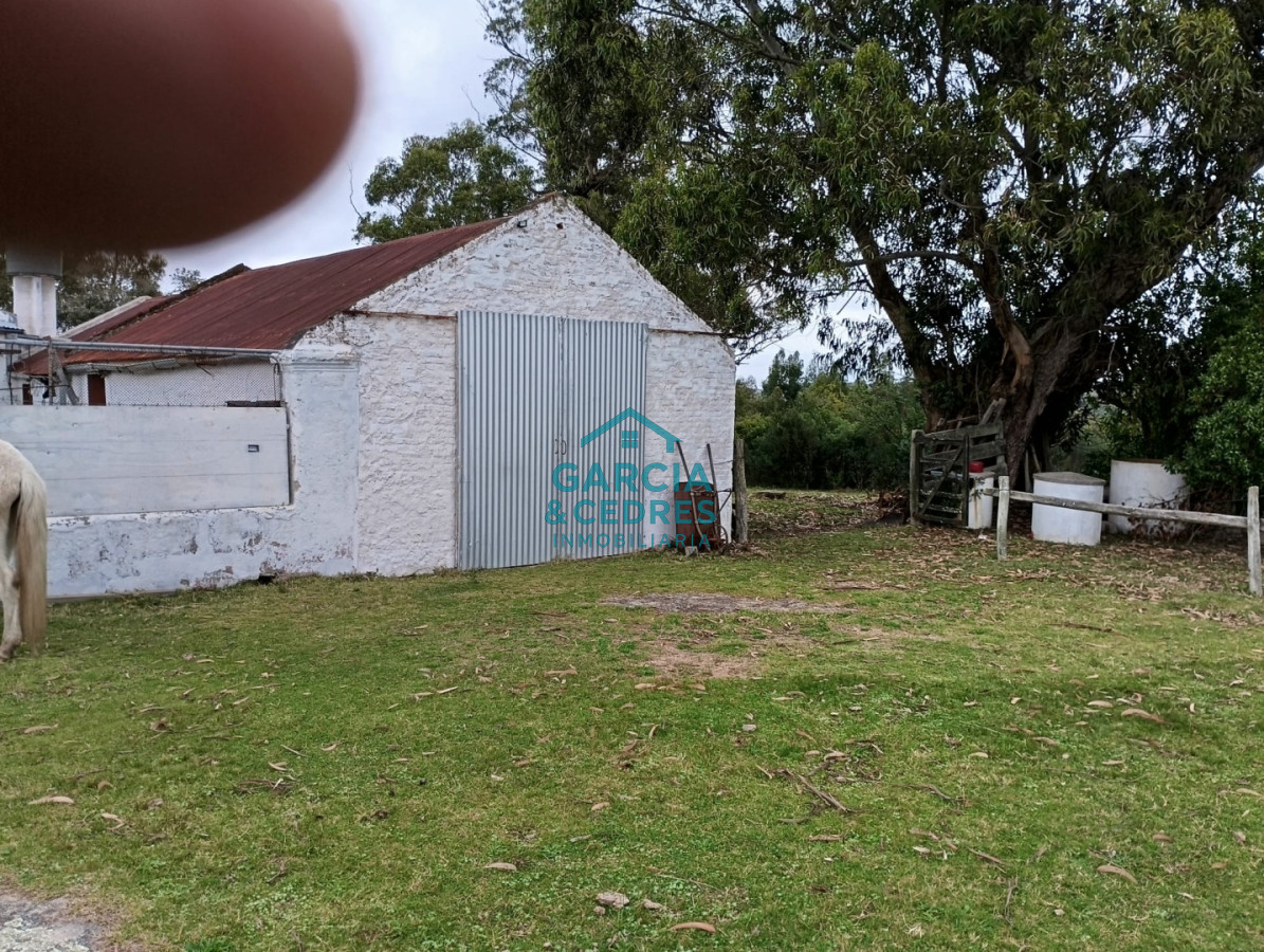 Campo Ref.35 - VENTA DE CAMPO EN RUTA 39 . LA ESTANCIA ESTA A5 KM DE LA RUTA 39 