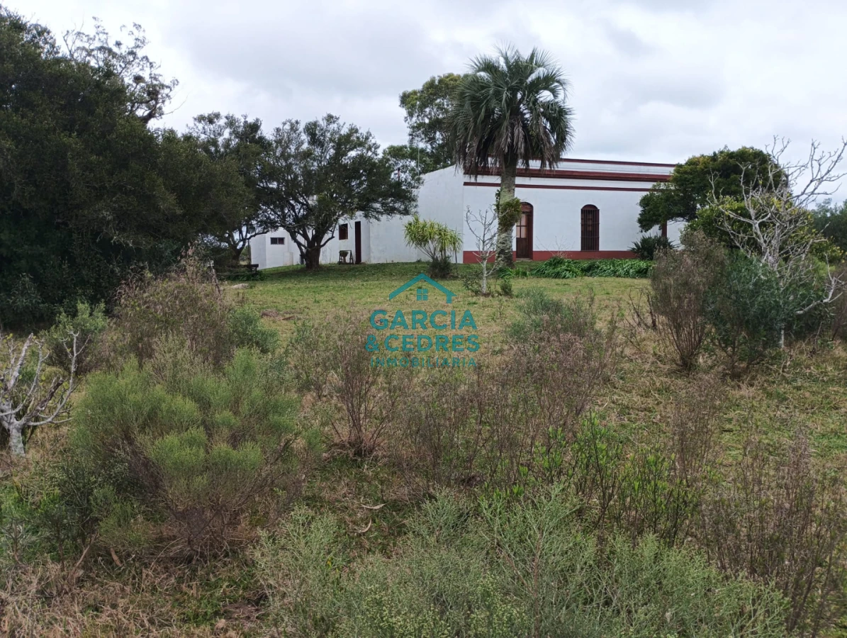 Campo Ref.35 - VENTA DE CAMPO EN RUTA 39 . LA ESTANCIA ESTA A5 KM DE LA RUTA 39 