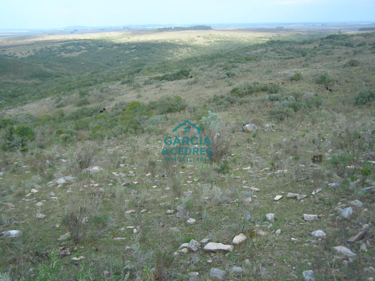Campo Ref.32 - Vendo o Permuto por propiedad en el Departamento de Maldonado .