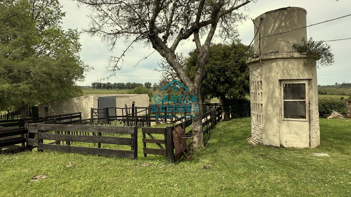 Campo Ref.207 - Estancia de Prestigio en Marmarajá - 104 Hectáreas Productivas