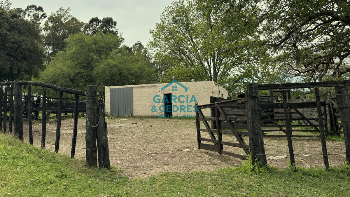 Campo Ref.207 - Estancia de Prestigio en Marmarajá - 104 Hectáreas Productivas