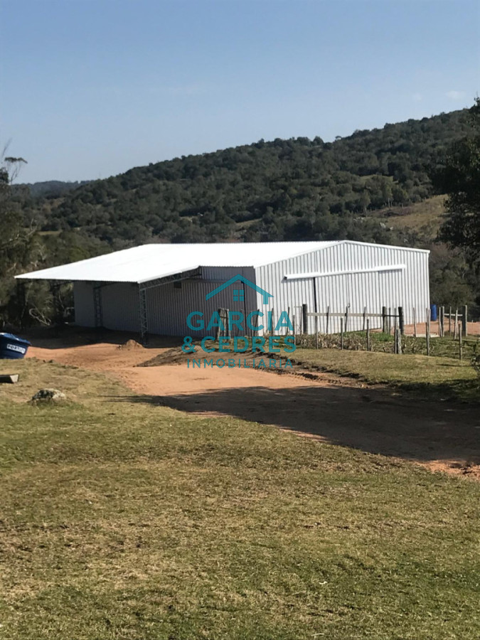 Campo Ref.209 - OPORTUNIDAD !!! ESTANCIA DE 252 HAS EN CAMINO CERRO CATEDRAL MALDONADO. 