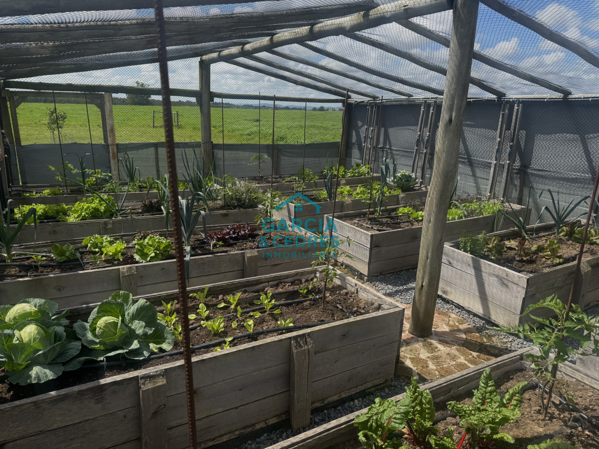 Campo Ref.4 - Chacra de 50 has ganadera en capilla de Cella con Casa  