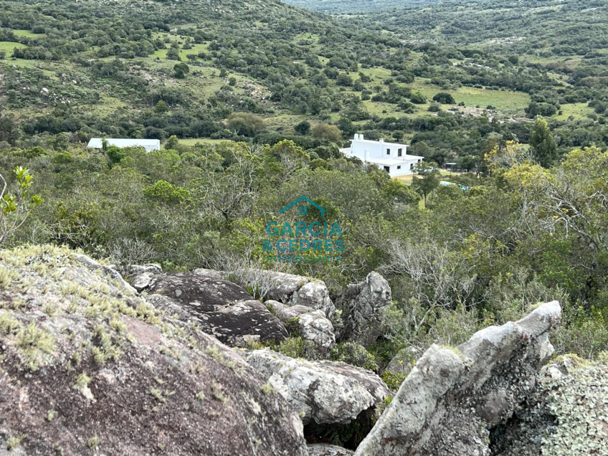 Campo Ref.209 - OPORTUNIDAD !!! ESTANCIA DE 252 HAS EN CAMINO CERRO CATEDRAL MALDONADO. 