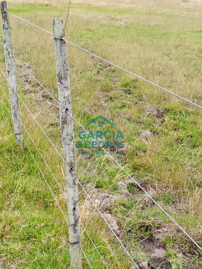 Campo Ref.26 - Campo en Rocha de 25 Has entre Lascano y Velazquez  a 1800 mt de Ruta 15 