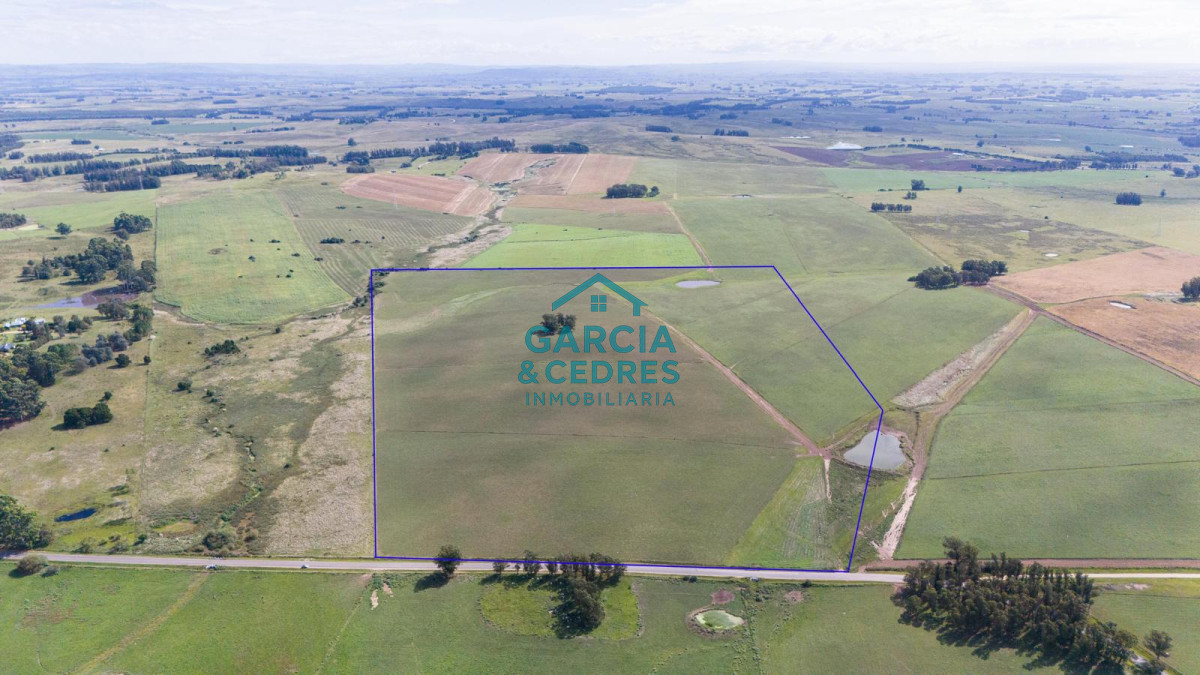 Campo Ref.182 - Campo de 42 Hectáreas con Alto Potencial de Inversión y Fraccionamiento - Ruta 104 & Camino del Medellín