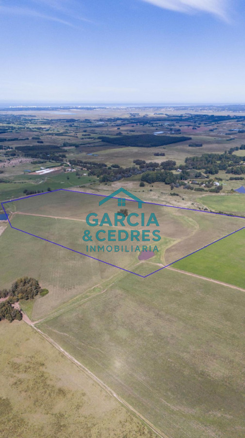 Campo Ref.182 - Campo de 42 Hectáreas con Alto Potencial de Inversión y Fraccionamiento - Ruta 104 & Camino del Medellín