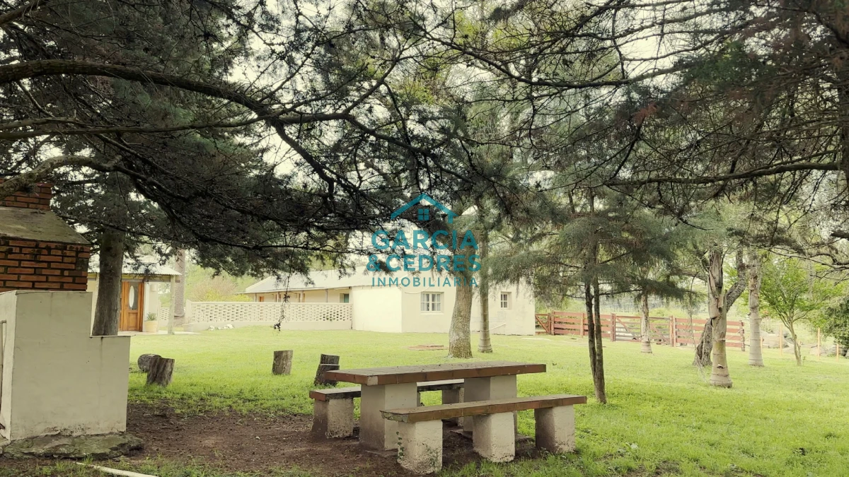 Campo Ref.207 - Estancia de Prestigio en Marmarajá - 104 Hectáreas Productivas