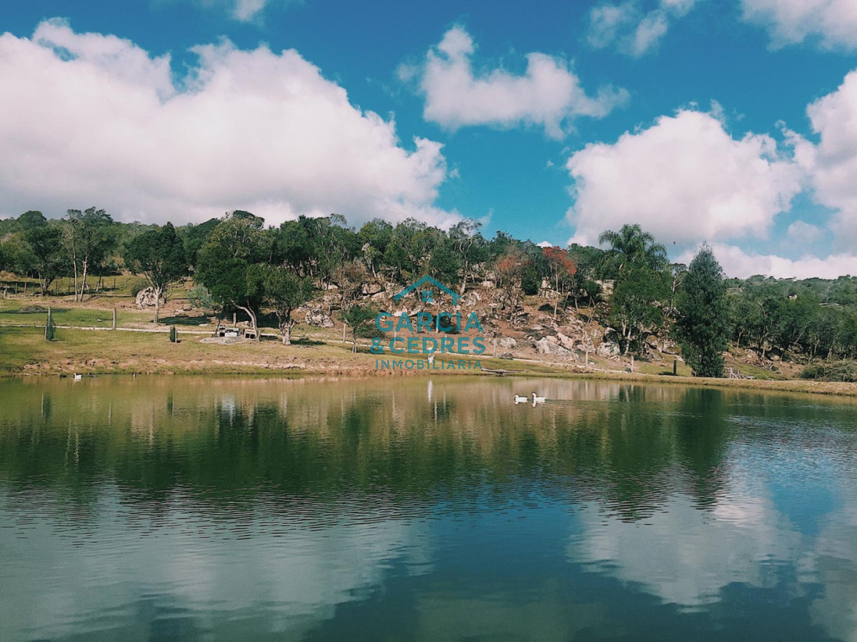 Campo Ref.209 - OPORTUNIDAD !!! ESTANCIA DE 252 HAS EN CAMINO CERRO CATEDRAL MALDONADO. 