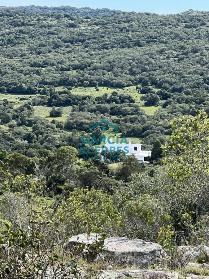 Campo Ref.209 - OPORTUNIDAD !!! ESTANCIA DE 252 HAS EN CAMINO CERRO CATEDRAL MALDONADO. 