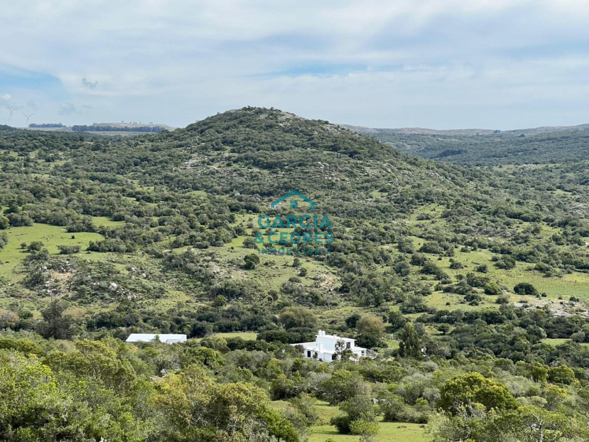 Campo Ref.209 - OPORTUNIDAD !!! ESTANCIA DE 252 HAS EN CAMINO CERRO CATEDRAL MALDONADO. 