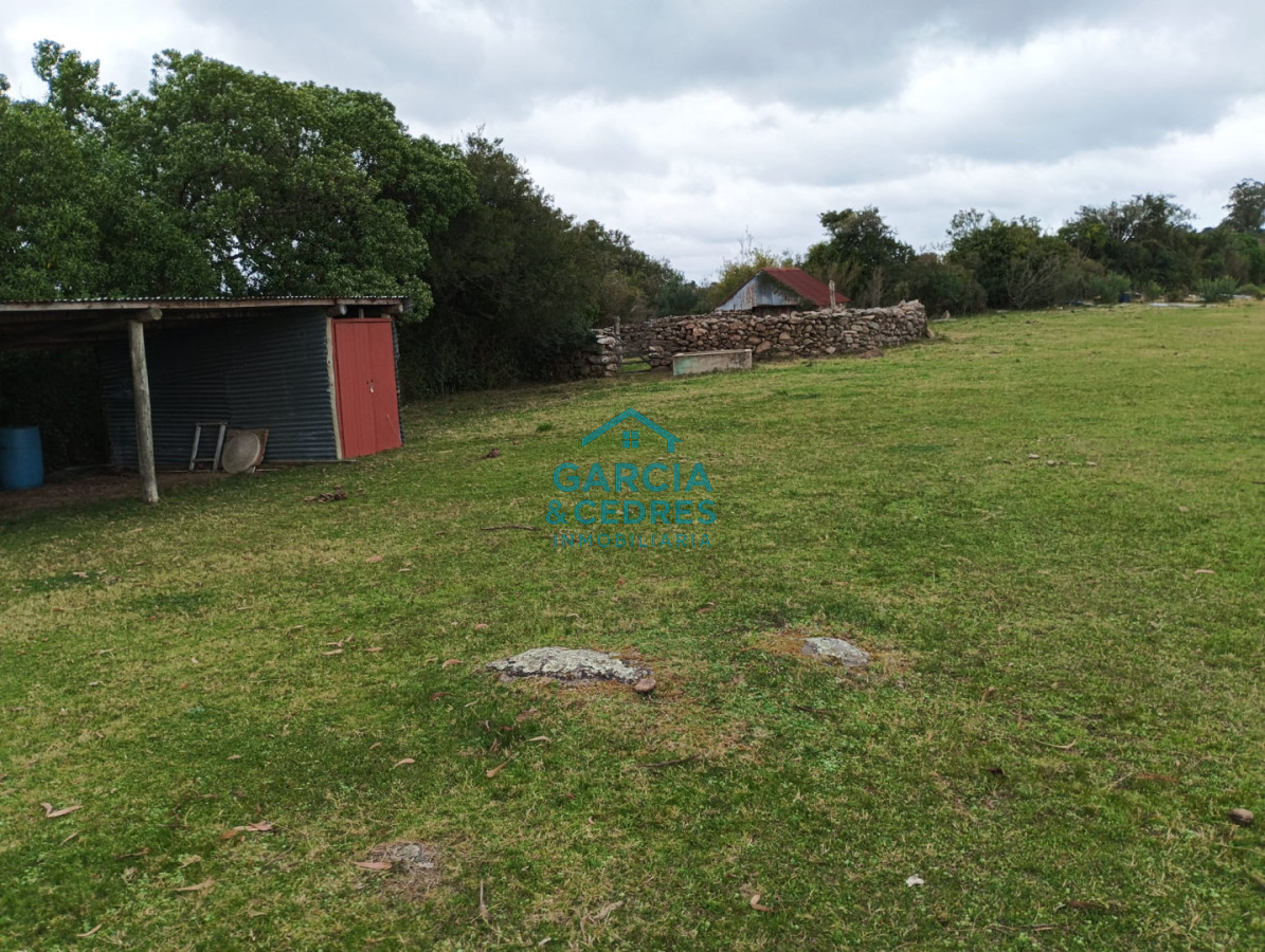 Campo Ref.35 - VENTA DE CAMPO EN RUTA 39 . LA ESTANCIA ESTA A5 KM DE LA RUTA 39 