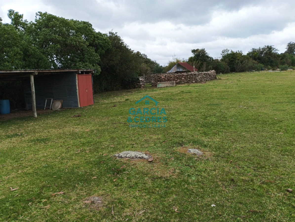 Campo Ref.35 - VENTA DE CAMPO EN RUTA 39 . LA ESTANCIA ESTA A5 KM DE LA RUTA 39 