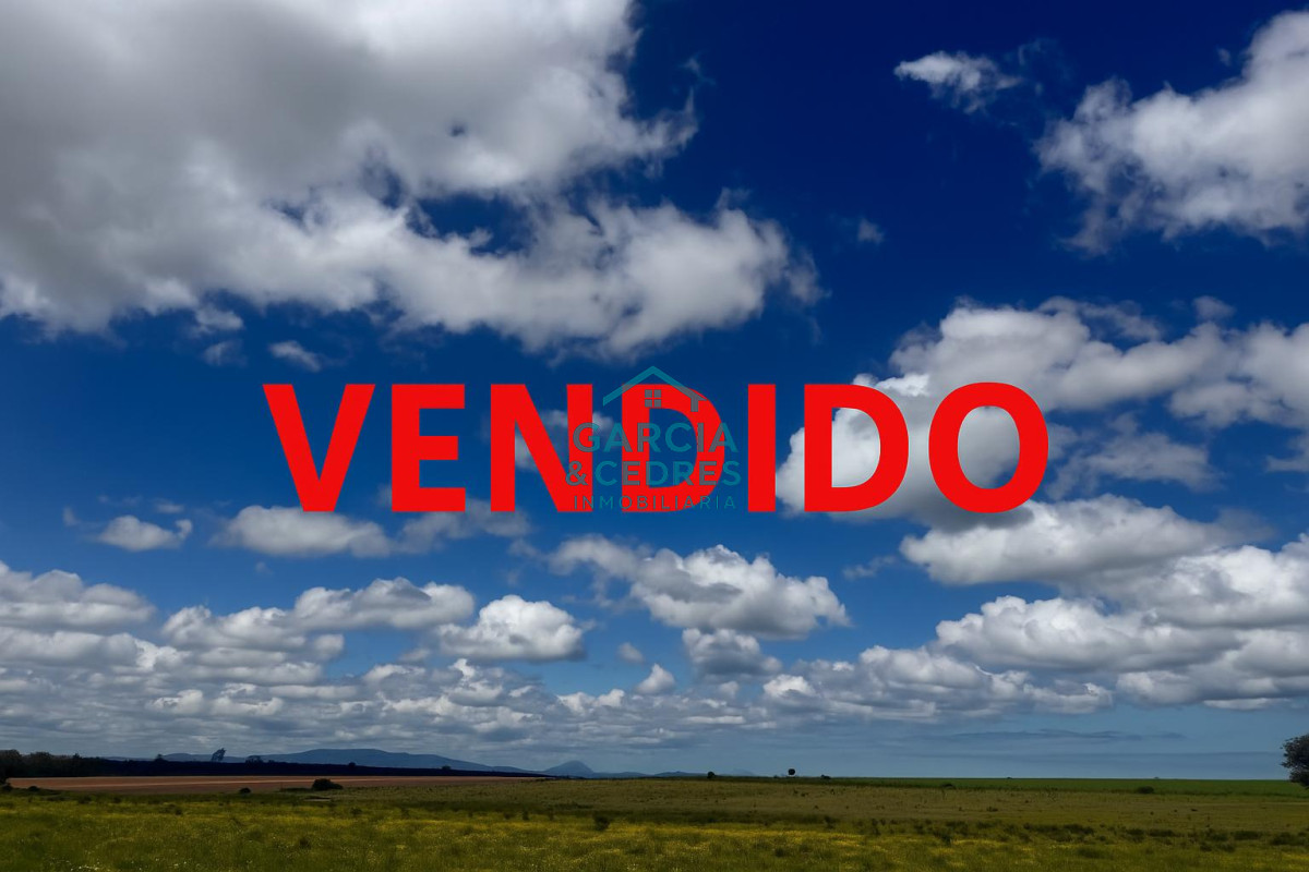 Campo Ref.4 - Chacra de 50 has ganadera en capilla de Cella con Casa  