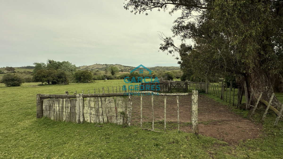 Campo Ref.207 - Estancia de Prestigio en Marmarajá - 104 Hectáreas Productivas