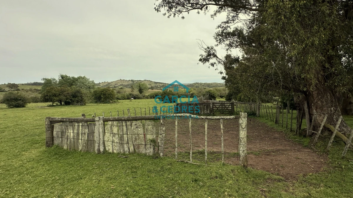 Campo Ref.207 - Estancia de Prestigio en Marmarajá - 104 Hectáreas Productivas